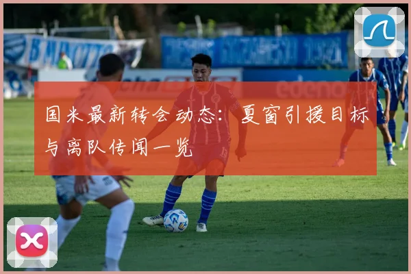 国米最新转会动态：夏窗引援目标与离队传闻一览