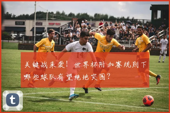 关键战来袭！世界杯附加赛规则下哪些球队有望绝地突围？